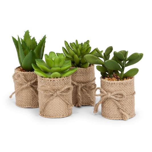 MINI SUCCULENT IN BURLAP