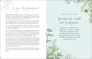 Silver Memories For My GrandChild