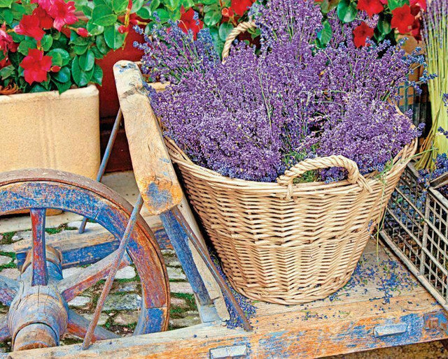 BASKET OF LAVENDER 1000 PC Puzzle