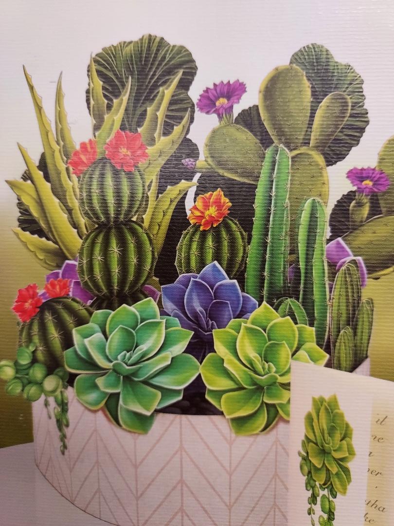 Cactus Garden Bouquet Pop Up Card