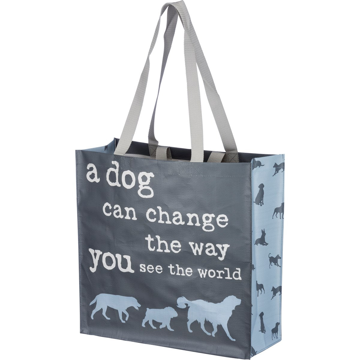 See the World Market Tote