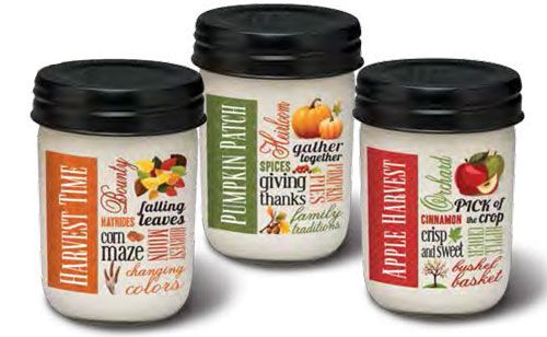 12OZ HONEY SOAKED APPLES SOY CANDLE