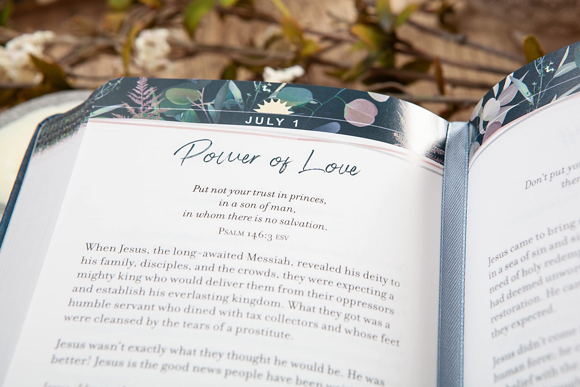 365 Days of Psalms
