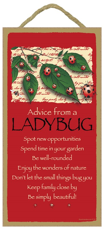 ADVICE FROM A LADYBUG SIGN