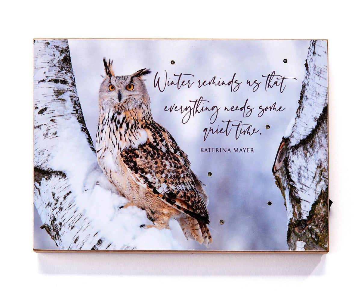 Owl Light Up Canvas Print