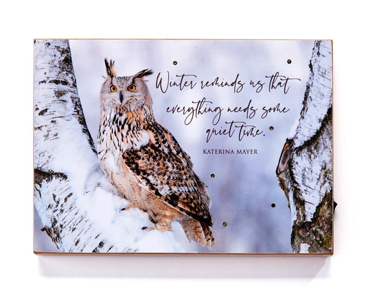Owl Light Up Canvas Print