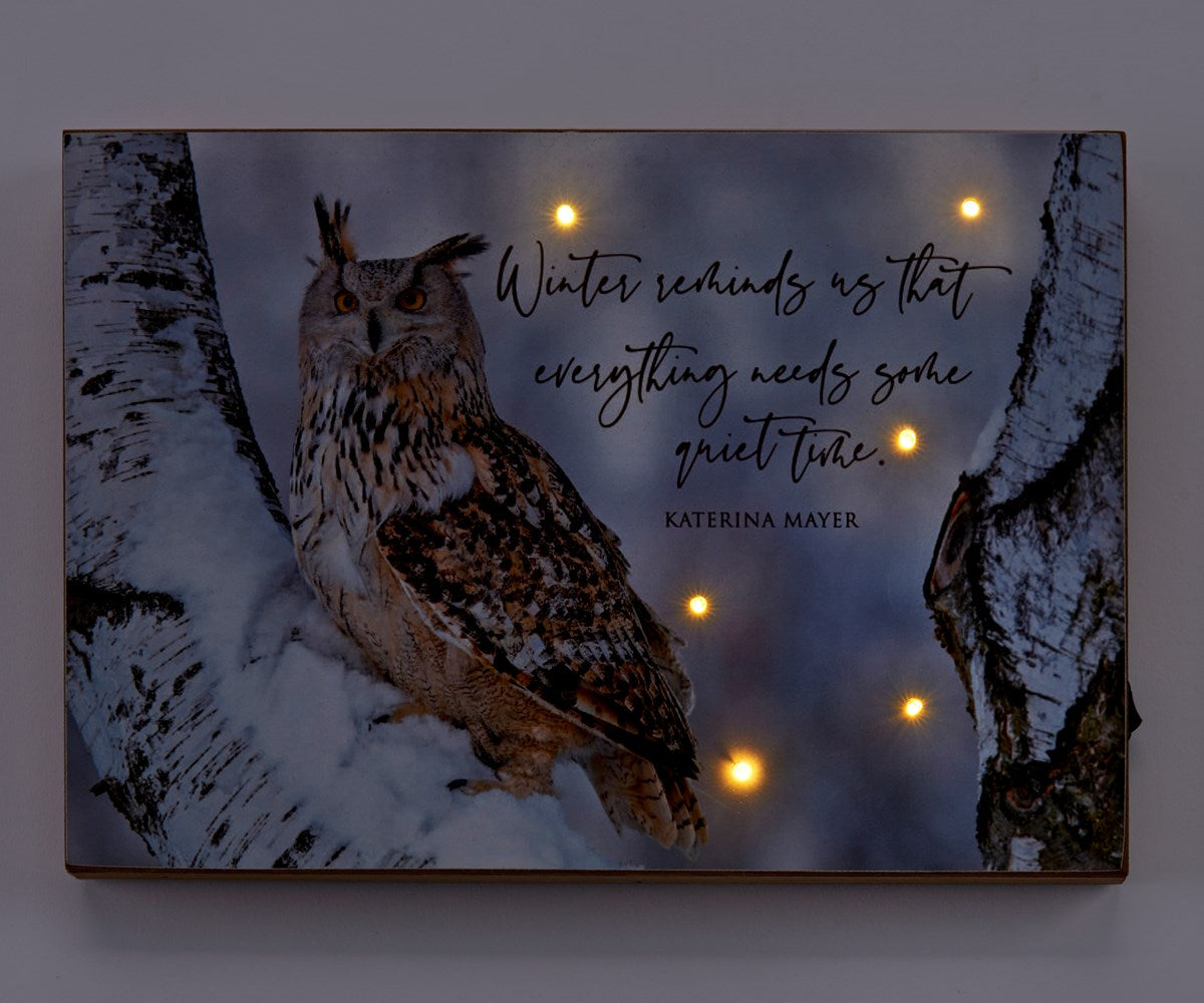 Owl Light Up Canvas Print