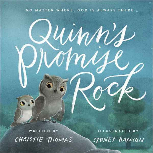 QUINN'S PROMISE ROCK HARCOVER BOOK