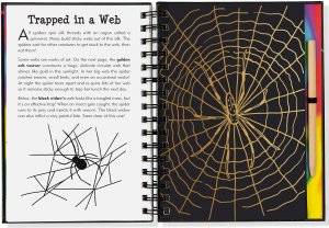 Bugs Scratch & Sketch