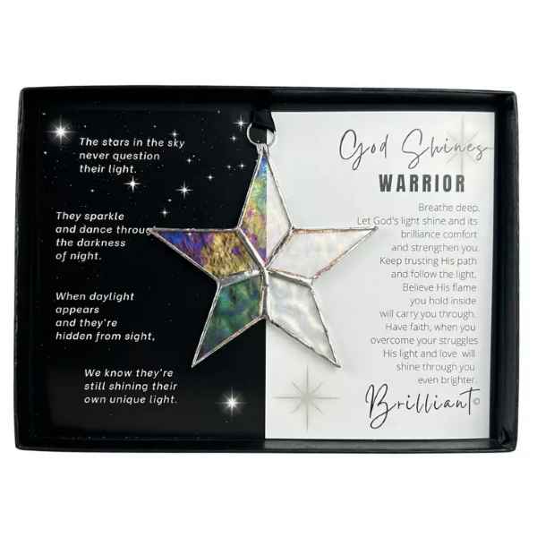 Warrior Stained Glass Star