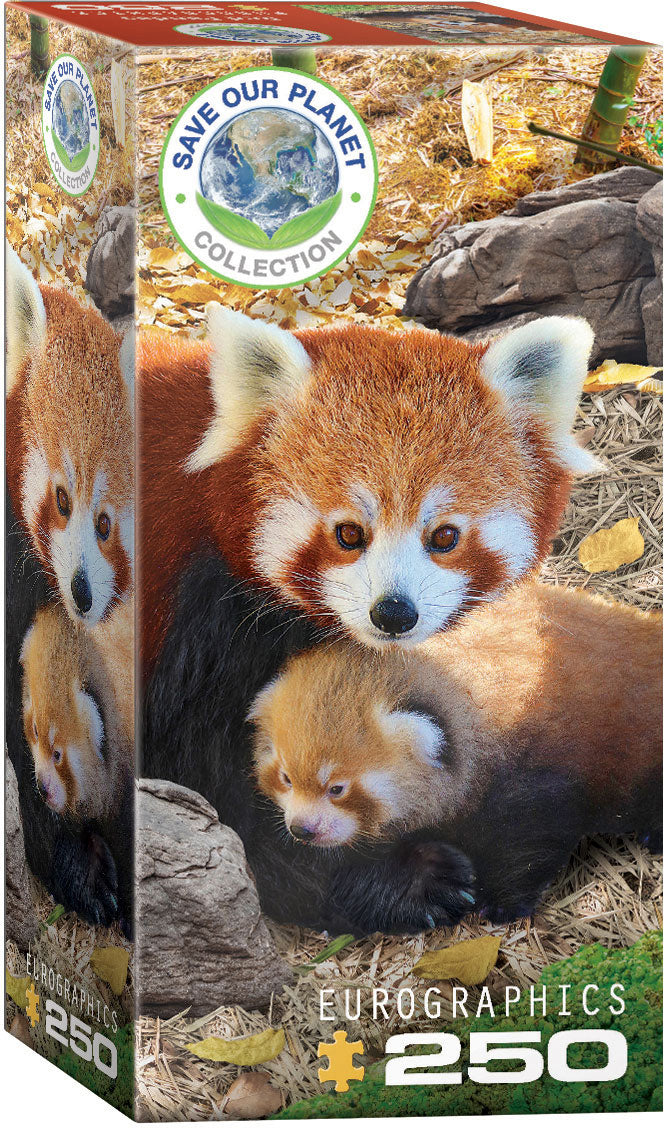 Red Pandas 250PC Puzzle