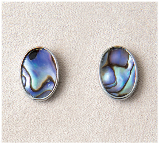 Framed Oval Large Earrings