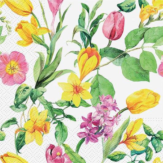LG EARLY SPRING NAPKINS