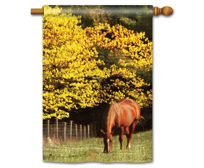 Out To Pasture Flag