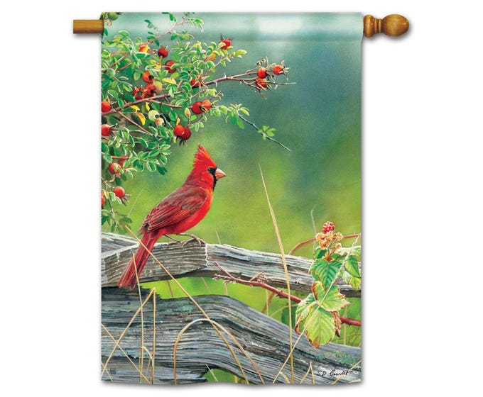 Cardinal Lookout Flag