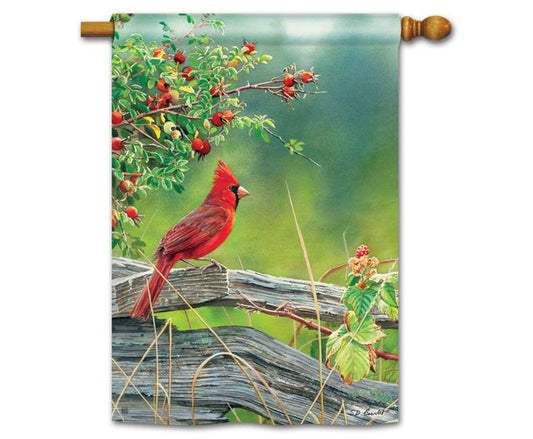 Cardinal Lookout Flag