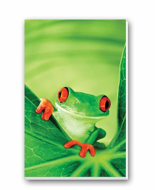 Frog Bridge Tallies
