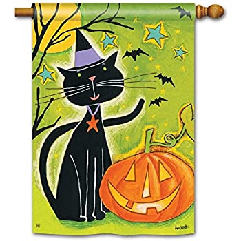 Black Cat Magic Flag