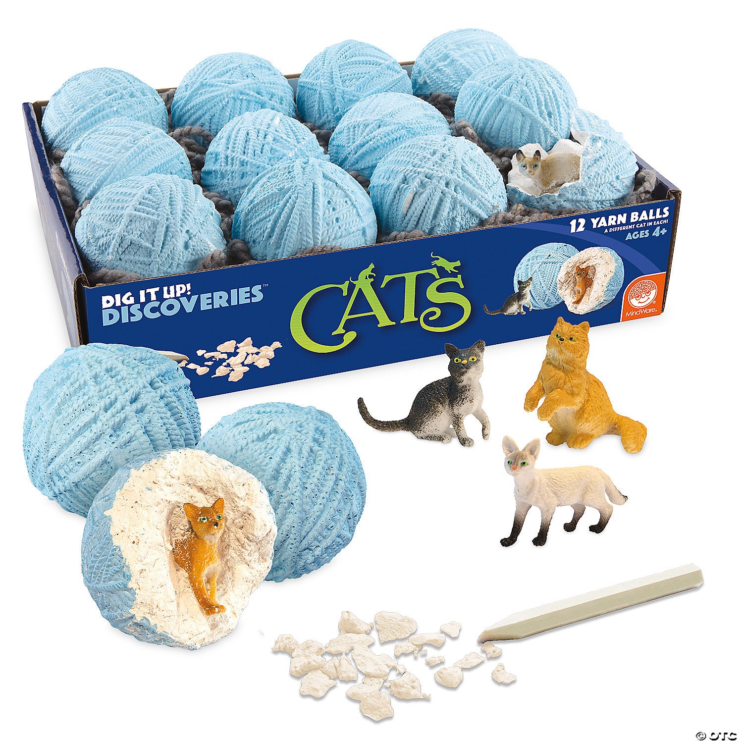 CATS DIG IT UP DISCOVERIES
