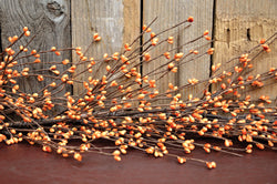 Mustard Pip Garland