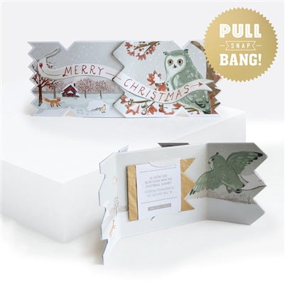 Woodland Owl Cracker Card