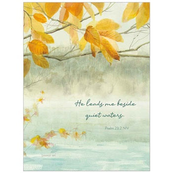 Quiet Waters BOXED NOTES