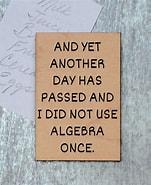 I Did Not Use Alegebra Magnet