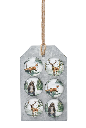 Woodland Animal Magnet Set
