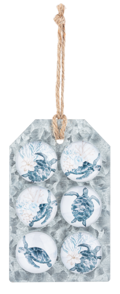 SEA TURTLE MAGNET SET OF 6