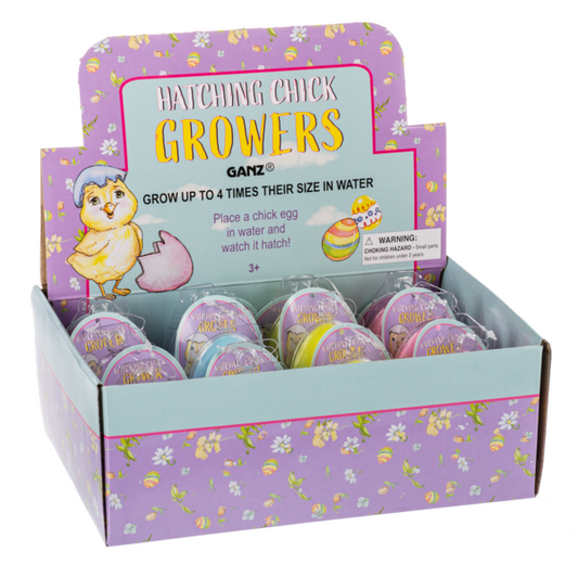 Hatching Chick - Asst
