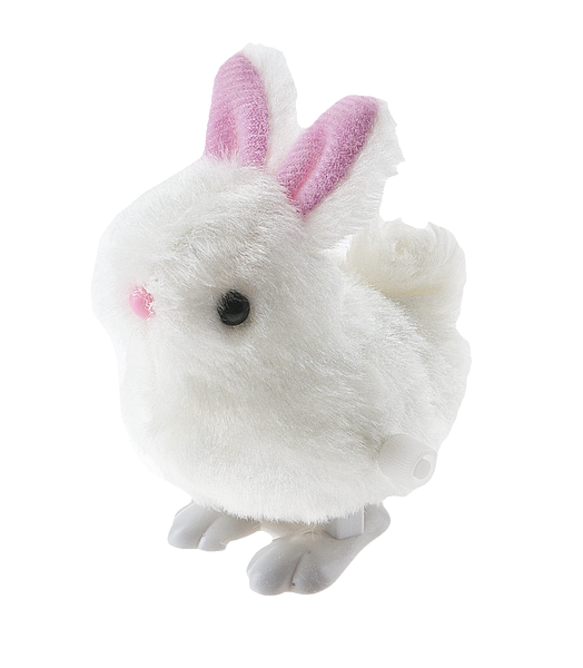 WIND UP BUNNY