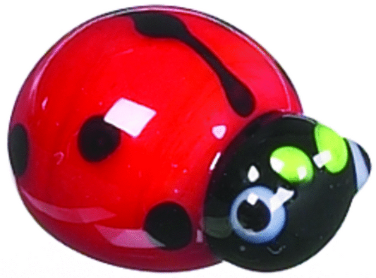 LITTLE LADY BUG POCKET TOKEN