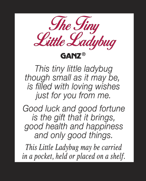 LITTLE LADY BUG POCKET TOKEN