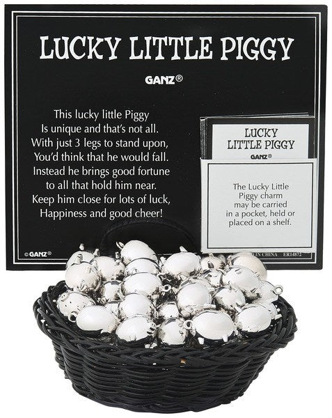 LUCKY PIGGY POCKET TOKEN