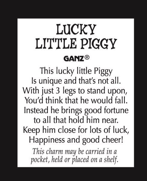 LUCKY PIGGY POCKET TOKEN