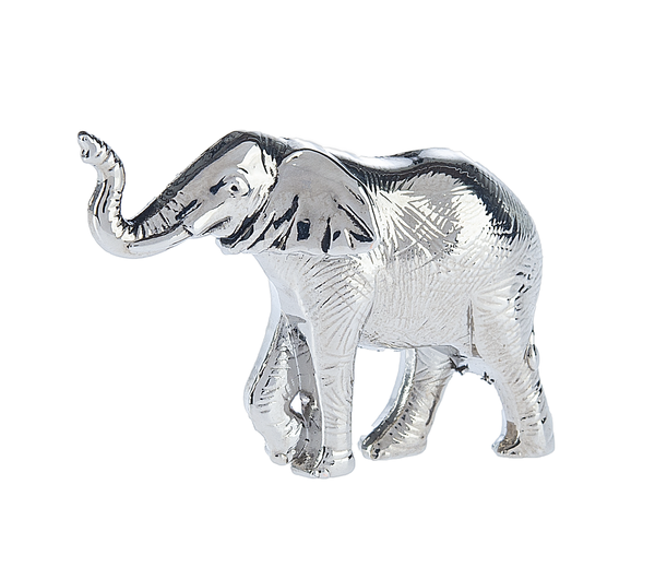 ELEPHANT LESSONS CHARM W/CARD