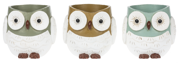 Owl Planter - Assorted Colors