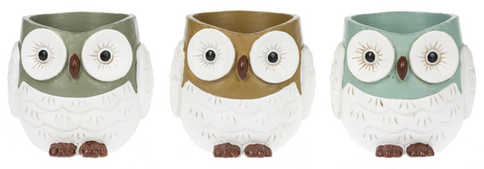 Owl Planter - Assorted Colors