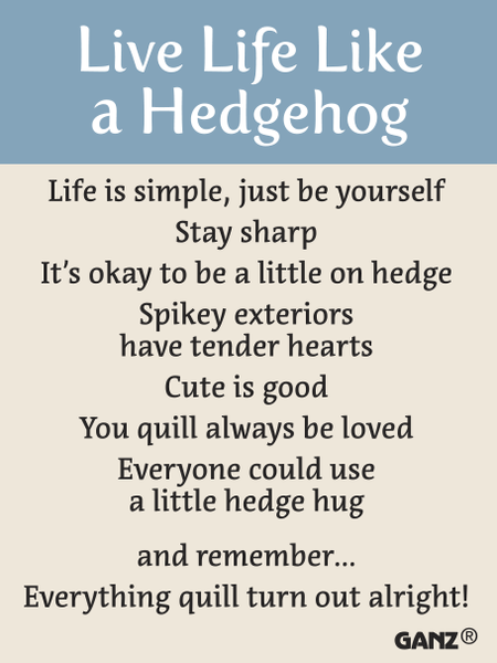 Hedgehog Pocket Charm