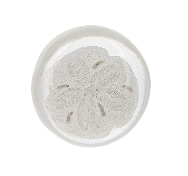 Sand Dollar Pocket Charm