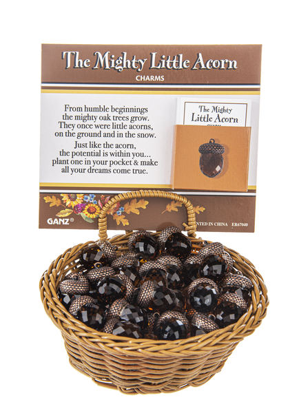 Little Acorn Pocket Token