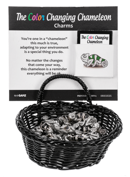Colorful Chameleon Pocket Token