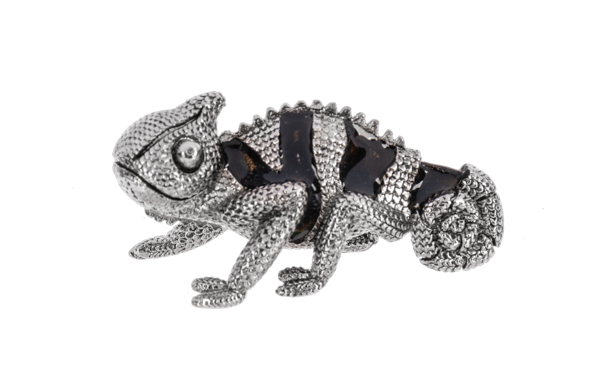Colorful Chameleon Pocket Token